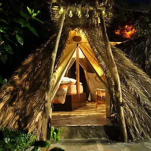 studio-mazo-the-glamping.in-canary-islands.com/